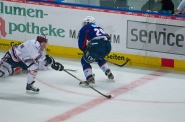Mannheimer Adler vs Eisbären Berlin 15.01.2012